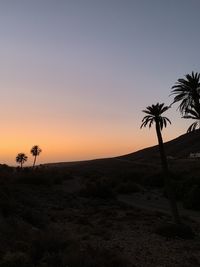 Silhouette palm trees on landscape against sky at sunset