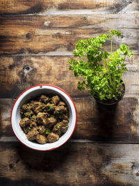 High angle view of cactus growing in park