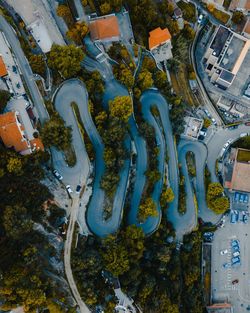 High angle view of trees and buildings in city