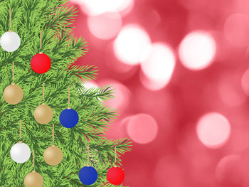 Close-up of christmas tree