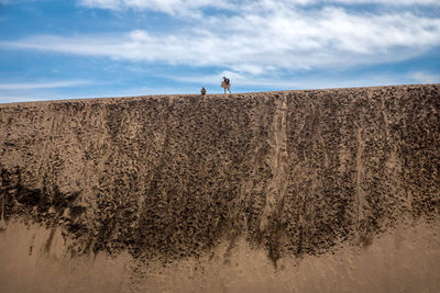 Rear view of people standing on land against sky