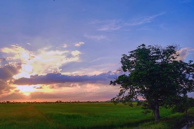 Scenic view of landscape against cloudy sky