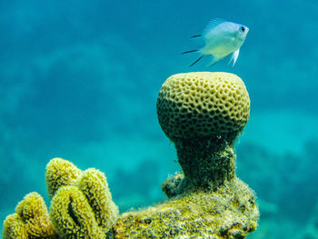 The nature is all we have