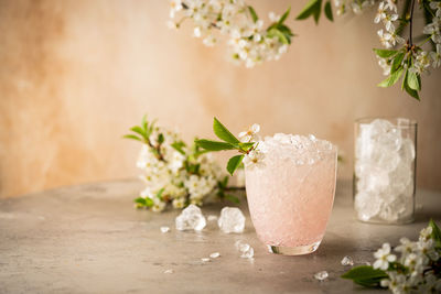 Potted plant on table