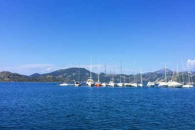 Sailboats moored on sea against clear blue sky