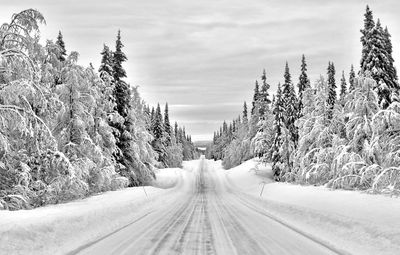 Empty road along trees on snow covered landscape