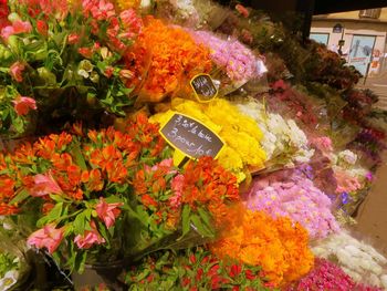 Multi colored flowers in store