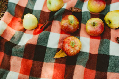 Ripe homemade apples on a cozy plaid blanket. autumn picnic in nature. apple harvest, reaping