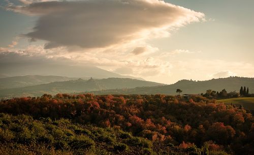 Scenic view of field against sky during sunset