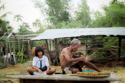 Schoolgirl studying while sitting with grandfather making wicker baskets