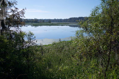 Scenic view of calm lake