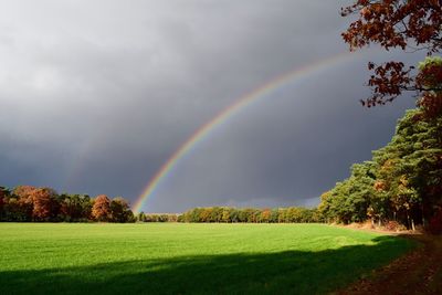 Scenic view of rainbow over field
