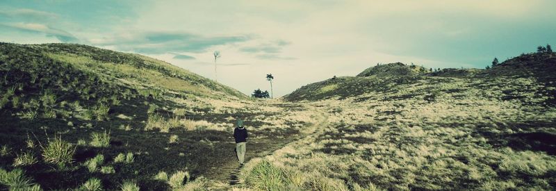 Scenic view of landscape against sky