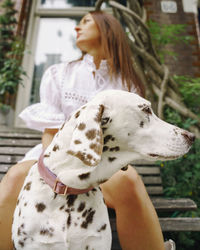 Close-up of dog