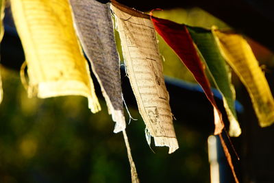 Nepalese flags detail.