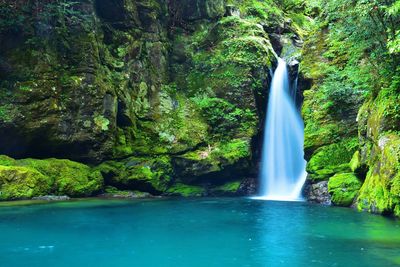 Scenic view of waterfall in forest