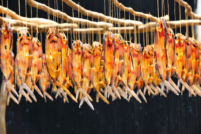 Close-up of seafood hanging on market stall