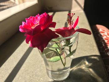 High angle view of flowers in glass on table