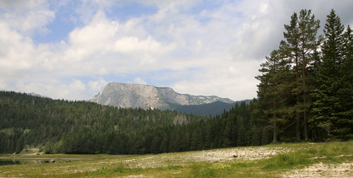 Black lake, zablijak, montenegro. the durmitor national park, montenegro