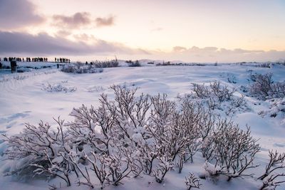 Scenic view of snow covered land against sky during sunset