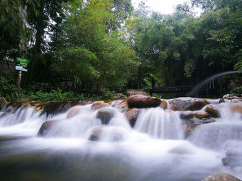 Scenic view of waterfall in forest