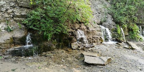 Scenic view of waterfall in forest