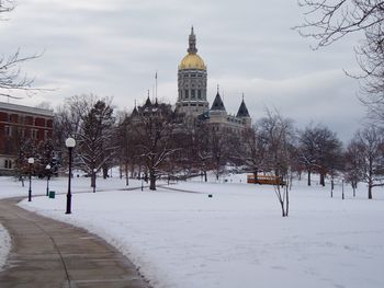 Snow covered trees and buildings against sky