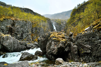 Scenic view of stream flowing through rocks