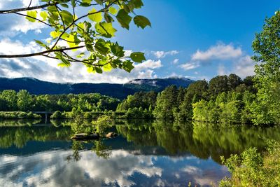 Scenic view of lake by trees against sky