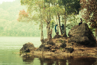 Scenic view of lake in forest