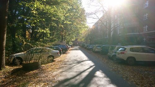 Cars on road by trees in city