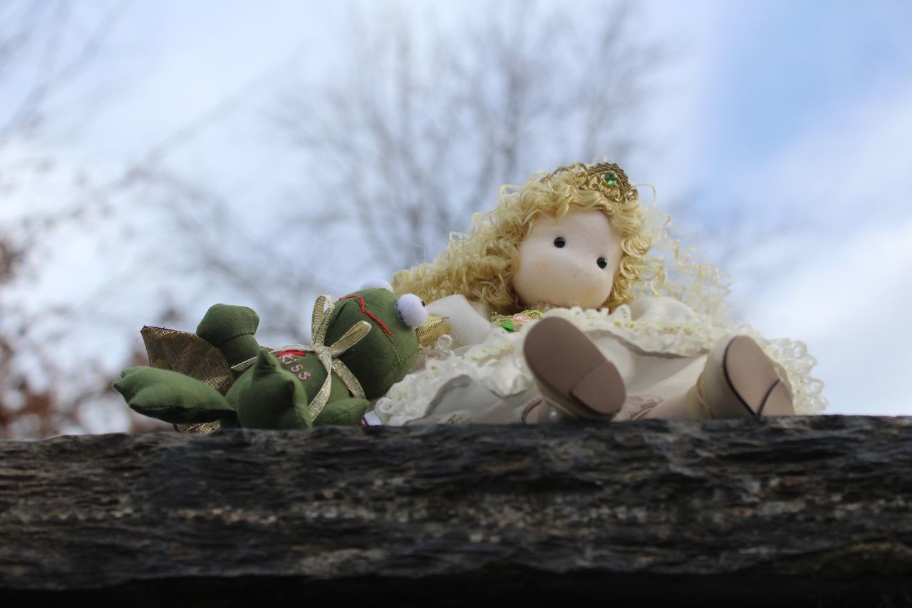 representation, toy, no people, nature, stuffed toy, animal representation, human representation, flower, tree, teddy bear, celebration, day, spring, plant, holiday, creativity, outdoors, easter, tradition, doll, sky, still life, close-up, egg