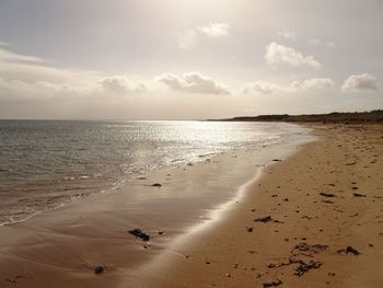 Scenic view of beach against sky