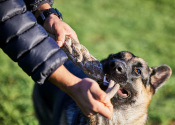 Midsection of man with dog