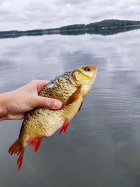 Hand holding fish in lake