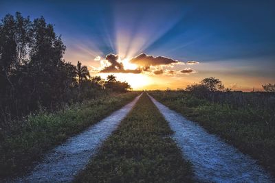 Road amidst trees against sky during sunset