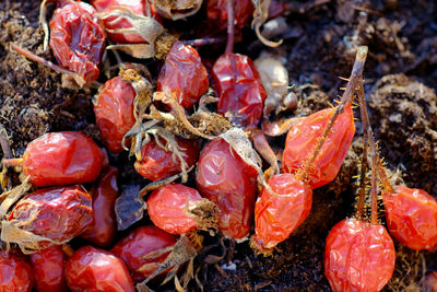 Full frame shot of fruits