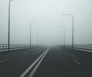 Empty road along trees