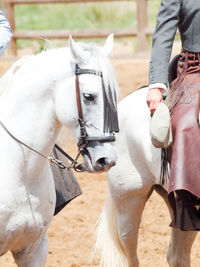 Low section of man riding horse