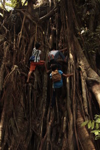 Woman standing on tree trunk