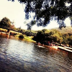 View of trees by river