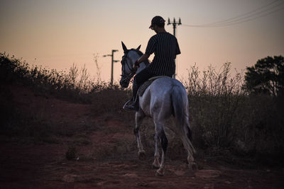 Man riding horse