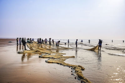 Fishermen catching fish in morning time  everyday life style for the livings. digha india. asia.