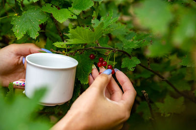 Cropped hand of woman holding coffee on table