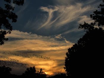 Low angle view of silhouette trees against sky at sunset