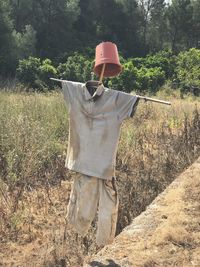 Scarecrow at farm