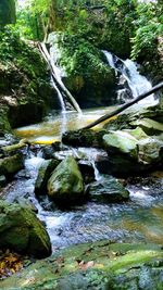 Scenic view of waterfall in forest