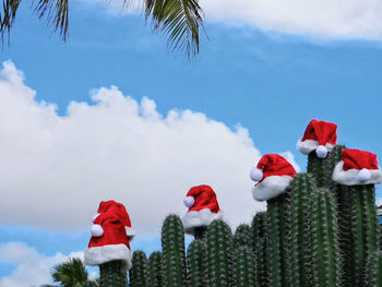 Low angle view of cactus family with christmas hats against sky