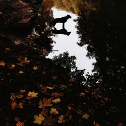 Silhouette of water against sky at night