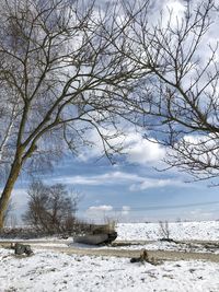 Bare trees on snow covered landscape against sky